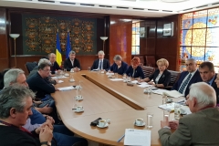 Pichet MEN 31 ianuarie 2018